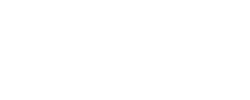 Toybin - logo